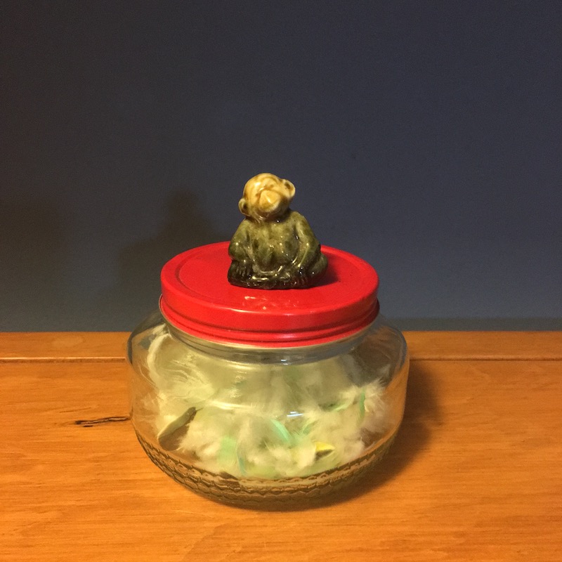 photo of a glass jar full of green parakeet feathers with a monkey sitting on top